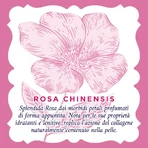Agua de rosas 20 toallitas desmaquillantes calmantes