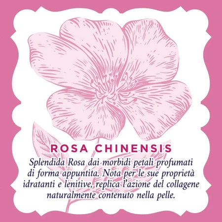 Agua de rosas 20 toallitas desmaquillantes calmantes