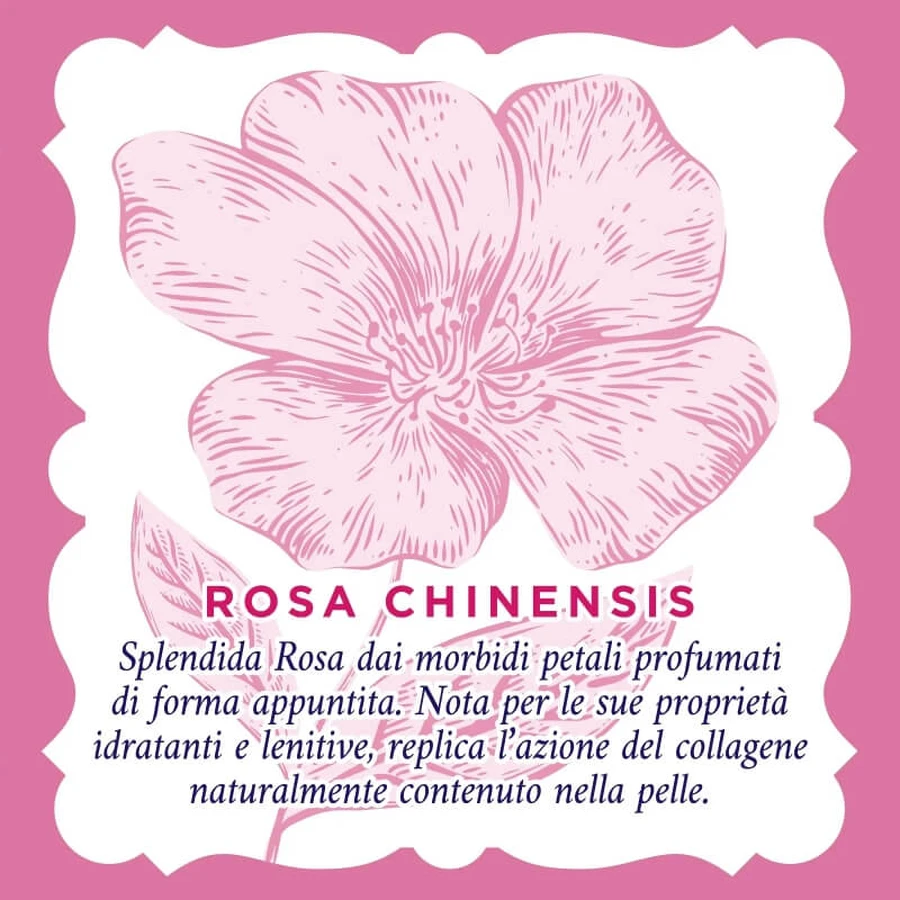 Agua de rosas 20 toallitas desmaquillantes calmantes