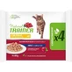 Natural trainer Kip - complete voeding voor volwassen katten 4 x 85 gr.