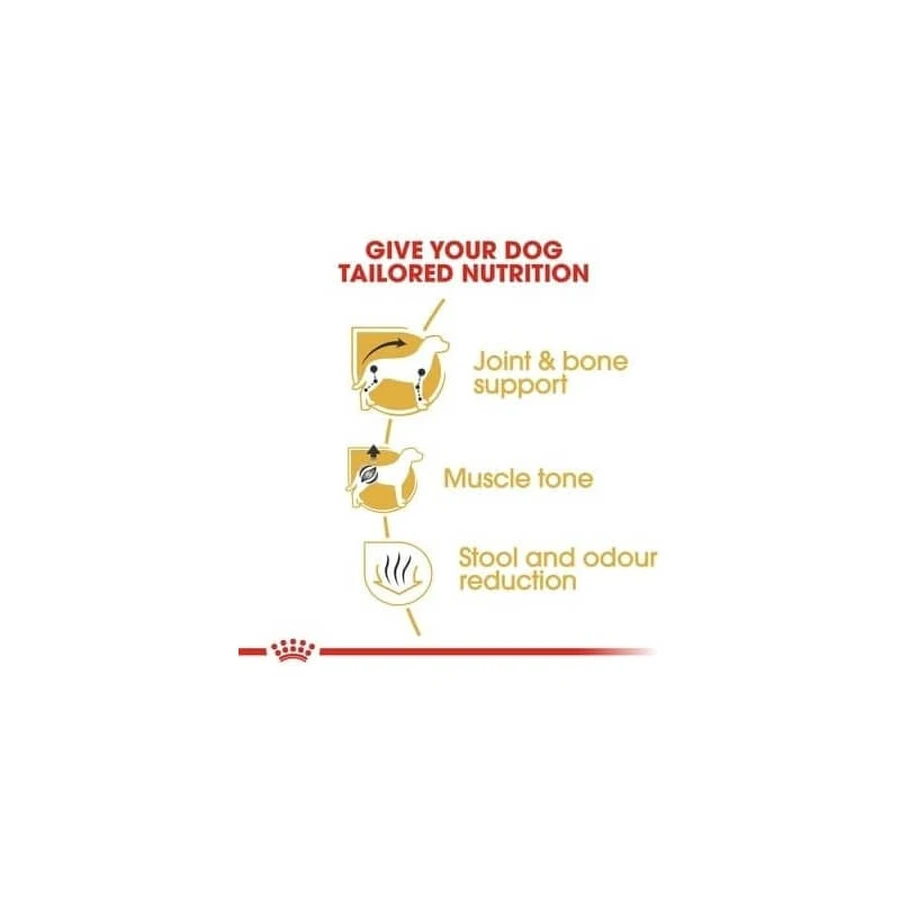 Royal canin Mini adult teckel - volledige voeding voor volwassen honden van het teckelras 1.5 kg