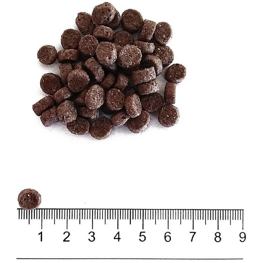 Prolife Dualfresh adult mini met buffellam &amp; rijst - volledige voeding voor kleine volwassen honden 2 kg