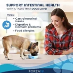 Forza10 Forza 10 intestinal active con pescado - alimento dietético completo para perros de 10 kg