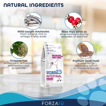 Forza10 Forza 10 intestinal active con pescado - alimento dietético completo para perros de 10 kg