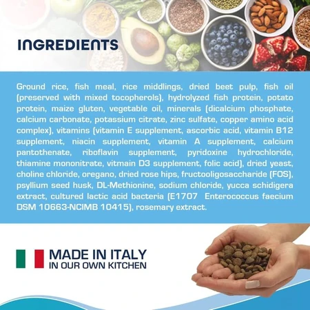 Forza10 Forza 10 intestinal active con pescado - alimento dietético completo para perros de 10 kg