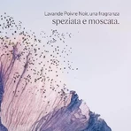 L'occitane lavande poivre noir - gel de ducha perfumado para cuerpo y cabello 250 ml