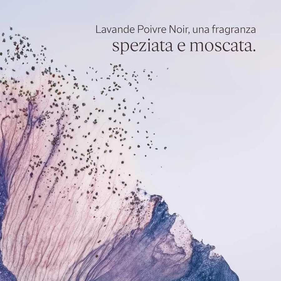 L'occitane lavande poivre noir - gel de ducha perfumado para cuerpo y cabello 250 ml