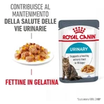 Royal canin Urinary care - volledig natvoer voor volwassen katten voor een gezond urinewegstelsel 85 gr.