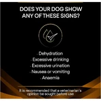 Purina proplan diet nf renal function - alimento completo para perros adultos con problemas renales y urinarios 12 kg