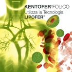 Kentofer folic 20 stickpacks - suplemento de hierro y vitaminas para el embarazo