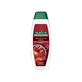 Palmolive Naturals briljante kleur - shampoo voor gekleurd haar 350 ml