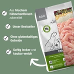 Platinum Adult con pollo - alimento completo para perros adultos 5 kg