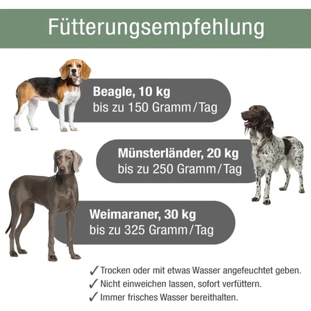 Platinum Adult con pollo - alimento completo para perros adultos 5 kg