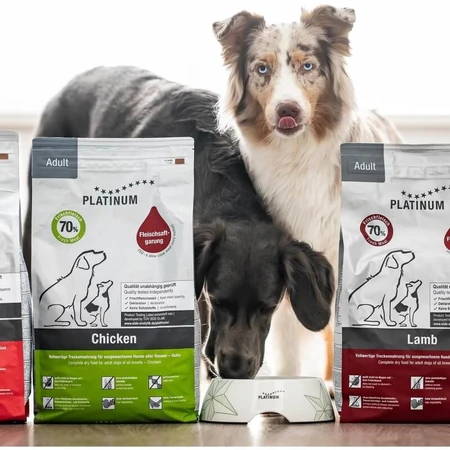 Platinum Adult con pollo - alimento completo para perros adultos 5 kg
