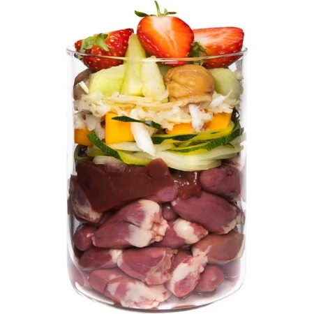 Terra canis Pato sin cereales con calabaza, fresa y saúco - comida húmeda completa para perros adultos 400 gr.