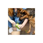 Edgard &amp; cooper Adult cordero y ternera - alimento completo para perros adultos con estómago delicado 400 gr.