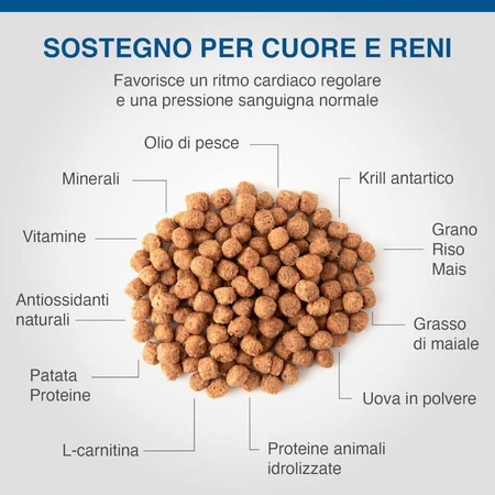 Dechra Heart &amp; kidney support (ckd) - alimento dietético para perros con insuficiencia cardíaca y renal 2 kg
