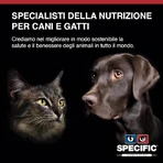 Dechra Heart &amp; kidney support (ckd) - alimento dietético para perros con insuficiencia cardíaca y renal 2 kg
