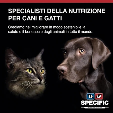 Dechra Heart &amp; kidney support (ckd) - alimento dietético para perros con insuficiencia cardíaca y renal 2 kg