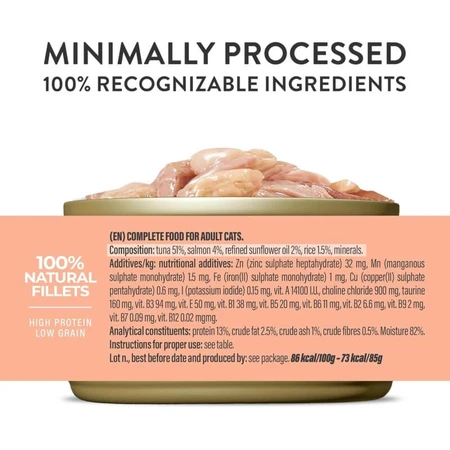 Schesir Nutrición completa filetes en gelatina de atún con salmón - alimento completo para gatos 6x 50 gr