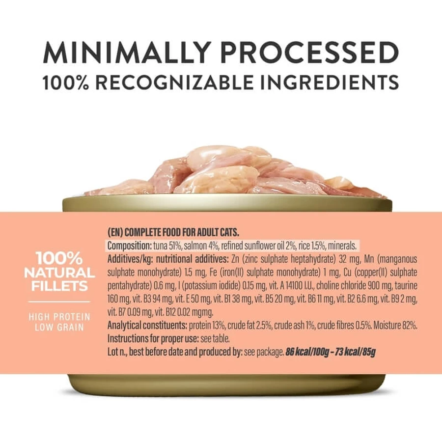 Schesir Nutrición completa filetes en gelatina de atún con salmón - alimento completo para gatos 6x 50 gr