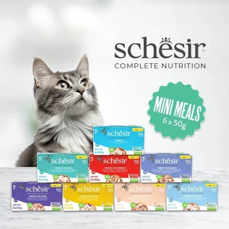 Schesir Nutrición completa filetes en gelatina de atún con salmón - alimento completo para gatos 6x 50 gr