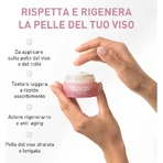 Equilibra rosa hialurónico - crema facial antiedad 50 ml