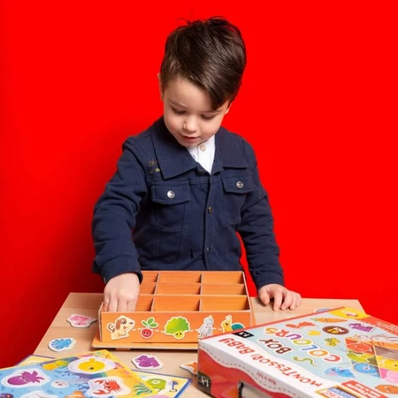 Lisciani Montessori baby 92765 - doos kleuren - educatief spel