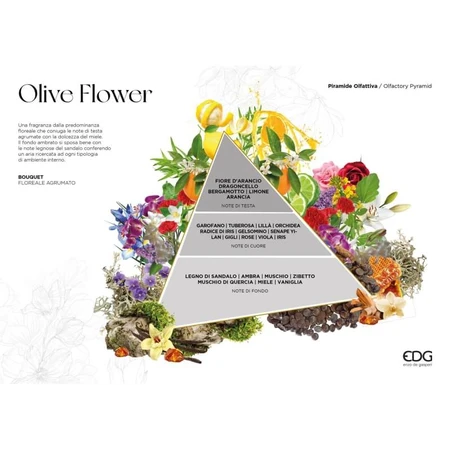 Edg Olive Flower - Raumparfüm 230 ml