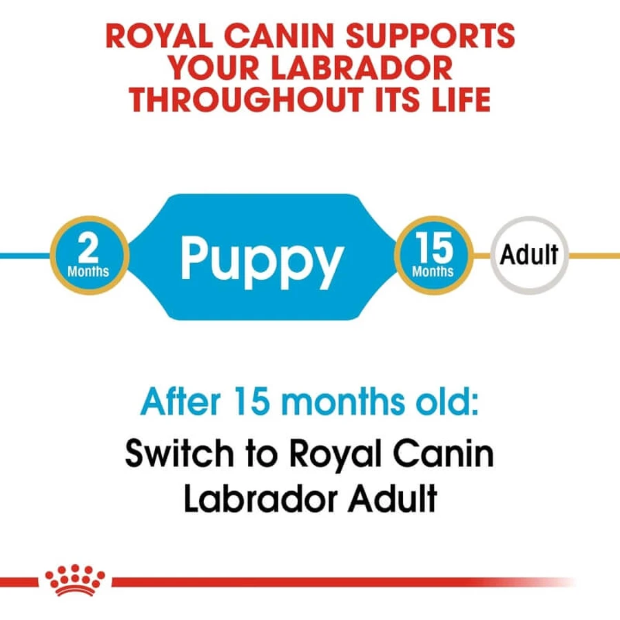 Royal canin Labrador pupy - volledige voeding voor labrador retriever pups 12 kg