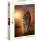 Clementoni Tigre puzzle para adultos 1500 piezas