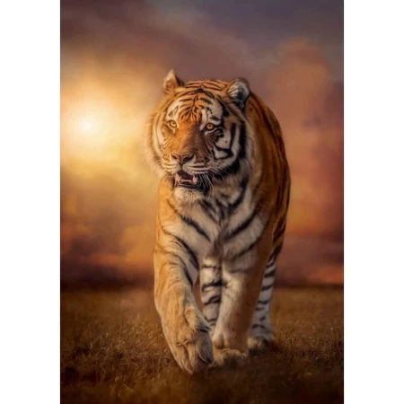Clementoni Tigre puzzle para adultos 1500 piezas