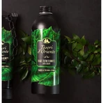 Treasures of the East Sandalwood and vetiver - aromatic bath cream 500 ml