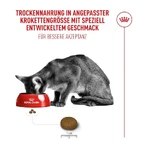 Royal canin Fussy exigent poultry - volledige voeding voor volwassen katten met hyper selectieve eetlust 400 gr