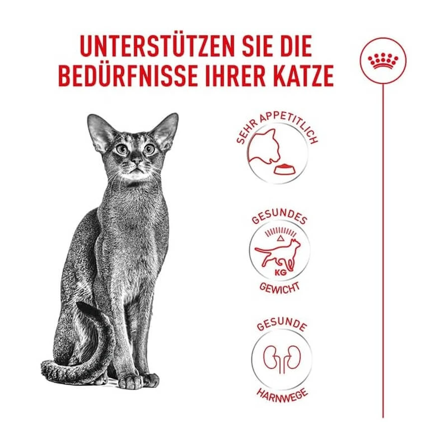 Royal canin Fussy exigent poultry - volledige voeding voor volwassen katten met hyper selectieve eetlust 400 gr