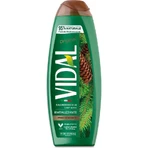 Vidal Original - revitalisierendes Bade- und Duschgel 500 ml