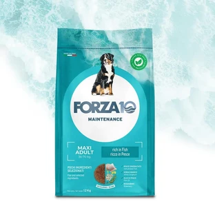 Forza10 Onderhoud vis - volledig droogvoer voor grote volwassen honden 12 kg
