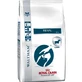 Royal canin veterinary diet renal - dry food for dogs 7 kg