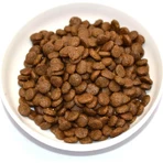 Farmina N&amp;d pumpkin adult mit Hirschkürbis und Apfel - Alleinfuttermittel für ausgewachsene Katzen 300 gr.