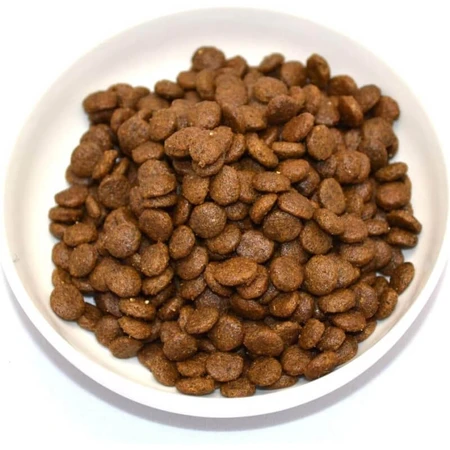 Farmina N&amp;d pumpkin adult mit Hirschkürbis und Apfel - Alleinfuttermittel für ausgewachsene Katzen 300 gr.