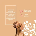 Inodorina Sweetypie - lang anhaltender milder Duft für Hunde 30 ml