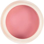 Diego dalla palma repair my lips - repairing lip mask 25 ml