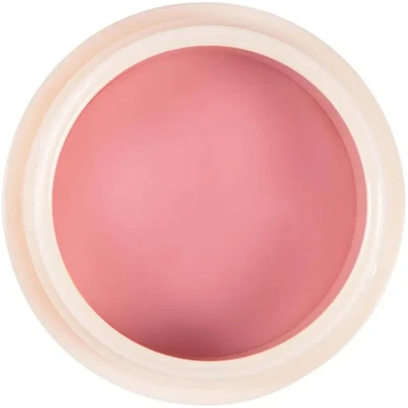Diego dalla palma repair my lips - repairing lip mask 25 ml