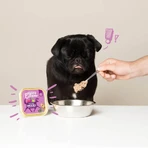 Edgard &amp; cooper Adult grain-free game and duck - wet food for adult dogs 150 gr.