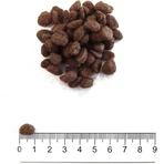 Prolife Cane getreidefreie Seezunge &amp; Kartoffeln - Alleinfuttermittel für empfindliche erwachsene kleine Hunde 2 kg