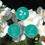 Air flor White musk - refill for diffuser d'essence deo matic 250 ml