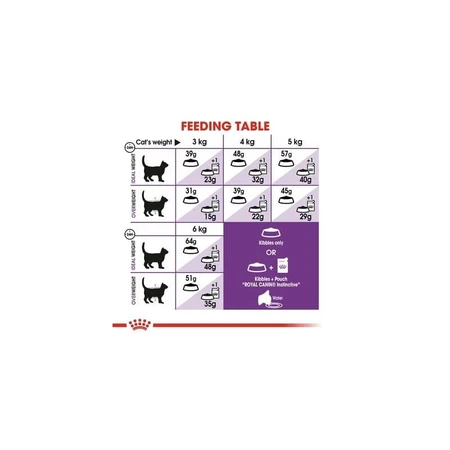 Royal canin Regular sensible 33 - Alleinfuttermittel für ausgewachsene Katzen mit Verdauungsproblemen 4 kg