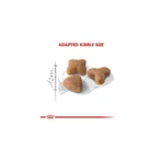 Royal canin Regular sensible 33 - Alleinfuttermittel für ausgewachsene Katzen mit Verdauungsproblemen 4 kg