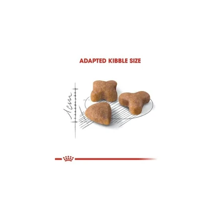 Royal canin Regular sensible 33 - Alleinfuttermittel für ausgewachsene Katzen mit Verdauungsproblemen 4 kg