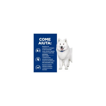 Hill's Prescription diet k/d + mobility kip - nier- en gewrichtsdieetvoer voor honden 370 gr